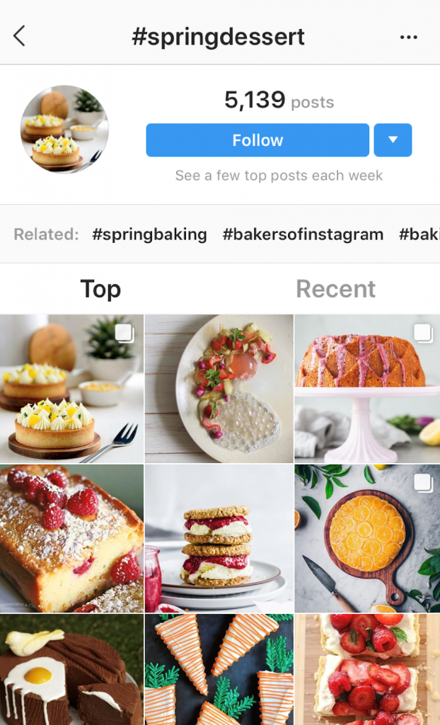 Spring desert hashtag feed Instagram