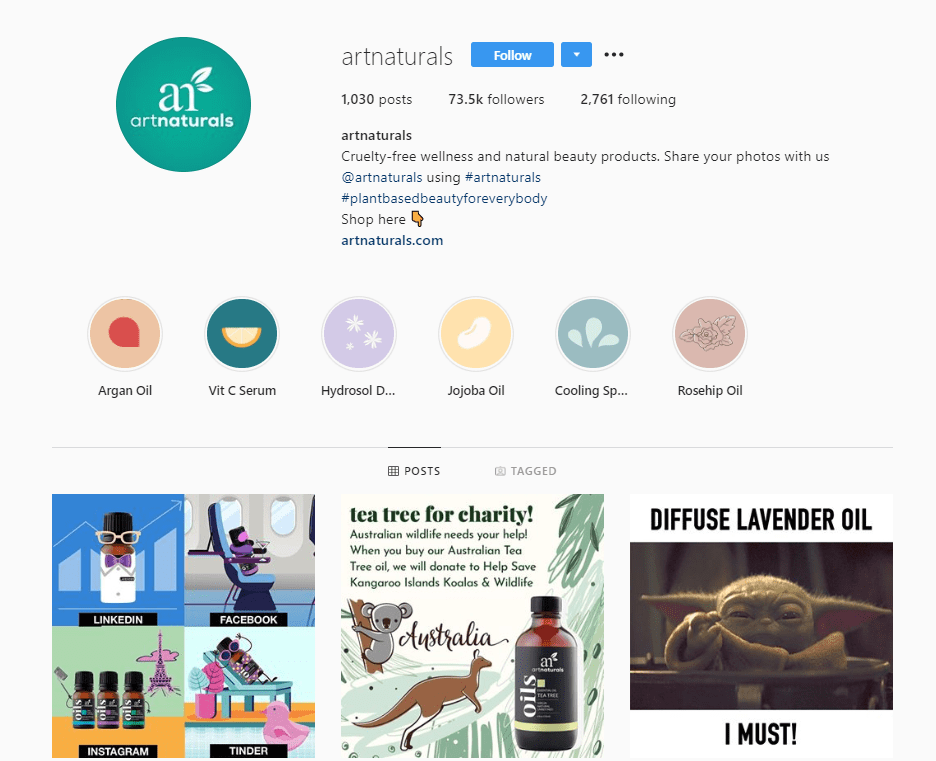 31+ Attractive Instagram Profile Examples — Zirby