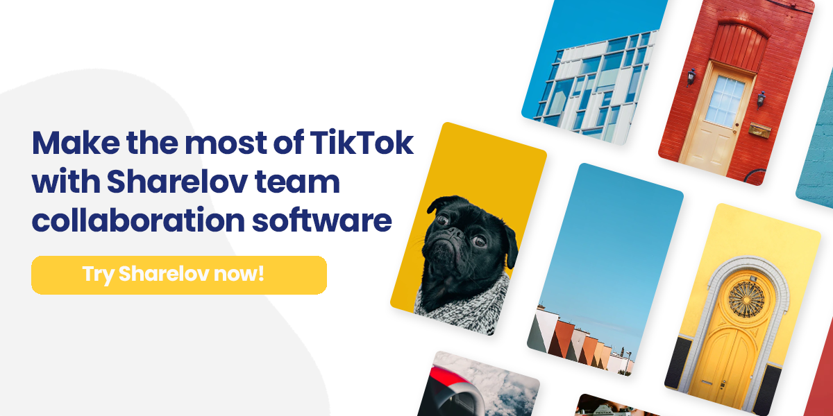 Make the most of TikTok with Sharelov team collaboration software Try Sharelov now!