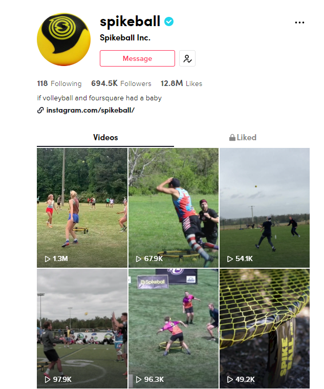 Spikeball TikTok profile