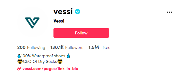 Vessi TikTok profile