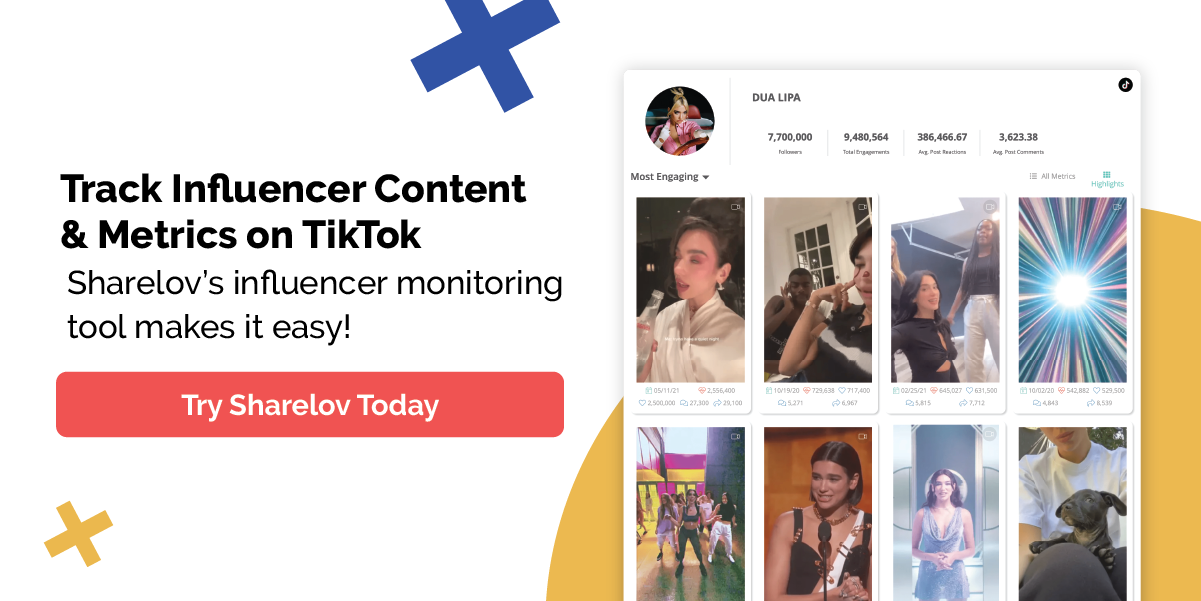 TikTok Influencer monitoring tool