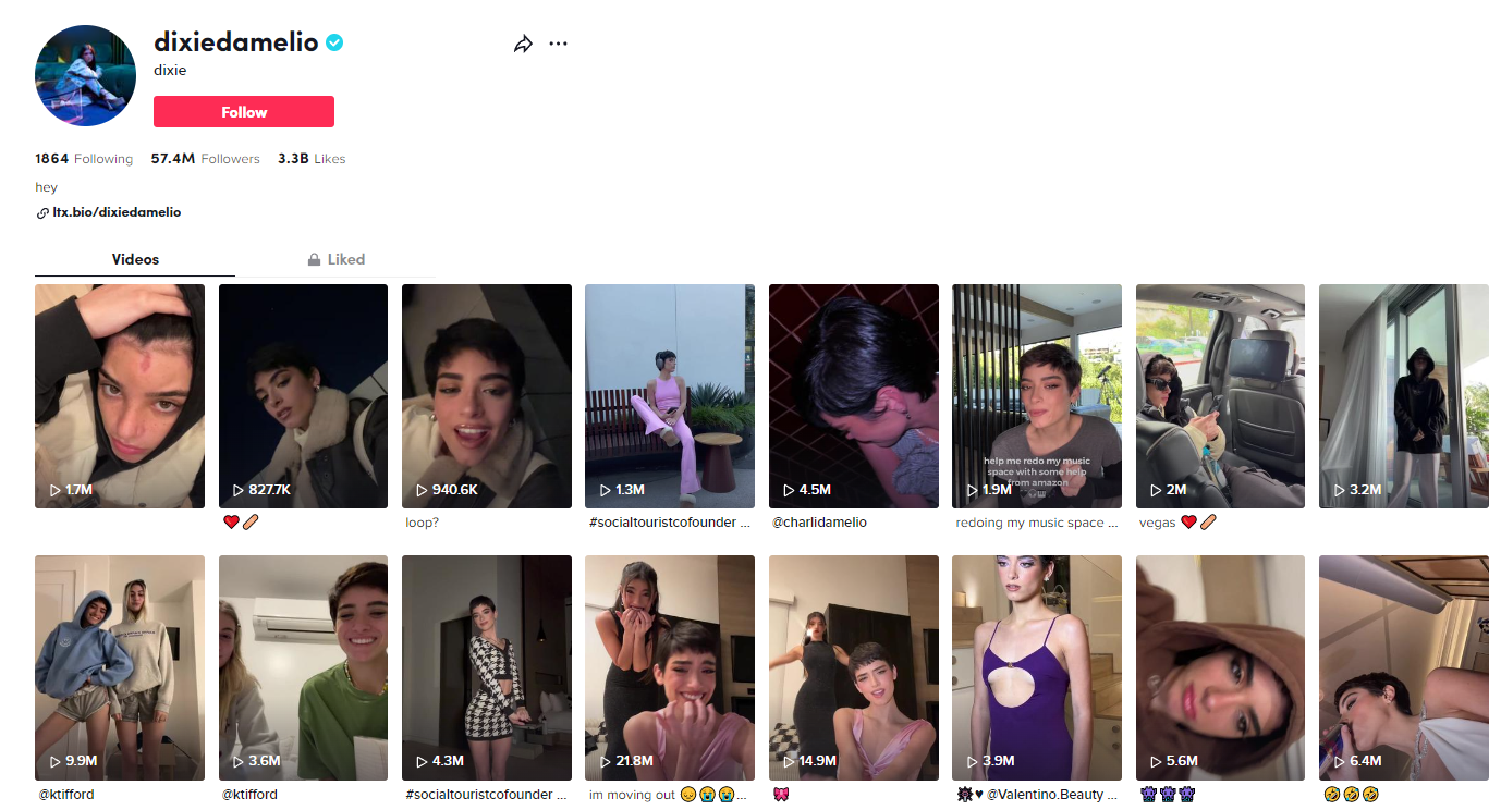 TikTok influencer dixiedamelio screenshot